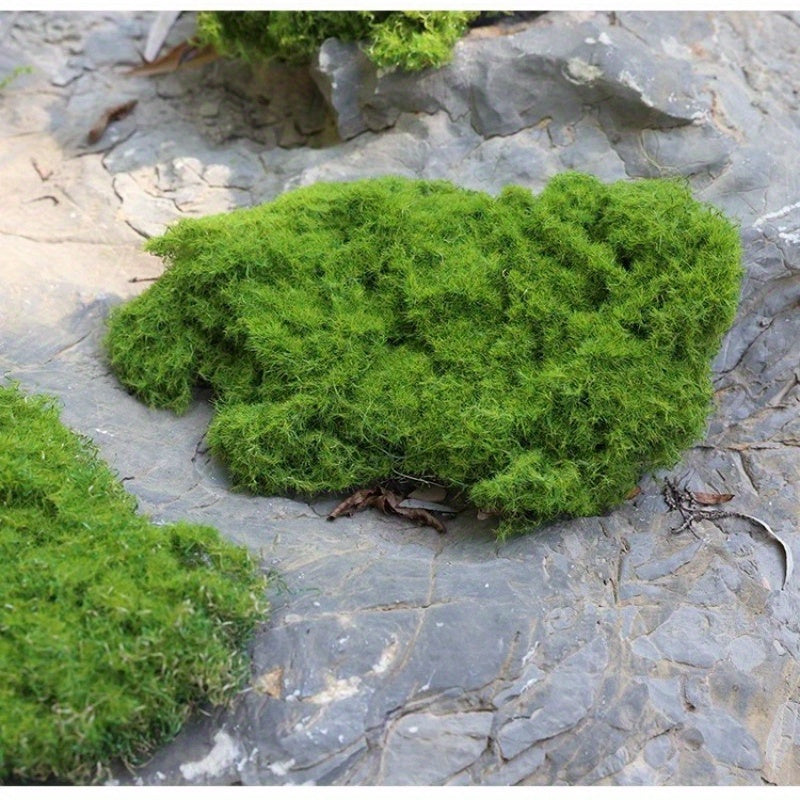 Mousse Décorative Artificielle Verte – Pour Bonsaï, Mini Paysages et Décoration Intérieure, Différents Formats