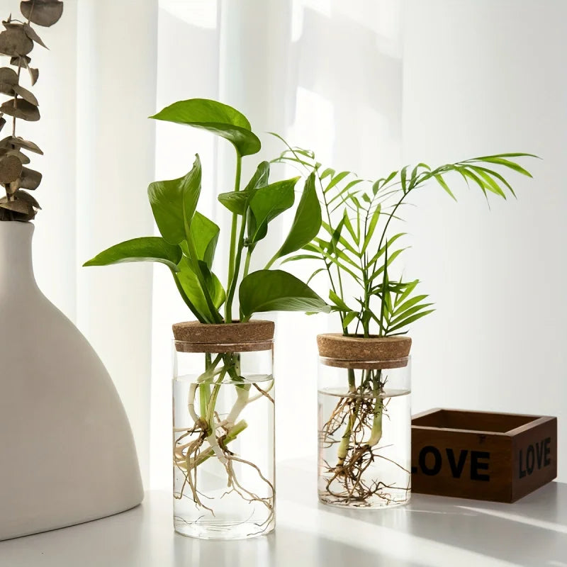 Vase en Verre pour Plantes Hydroponiques – Station de Propagation pour Bureau et Décoration Intérieure