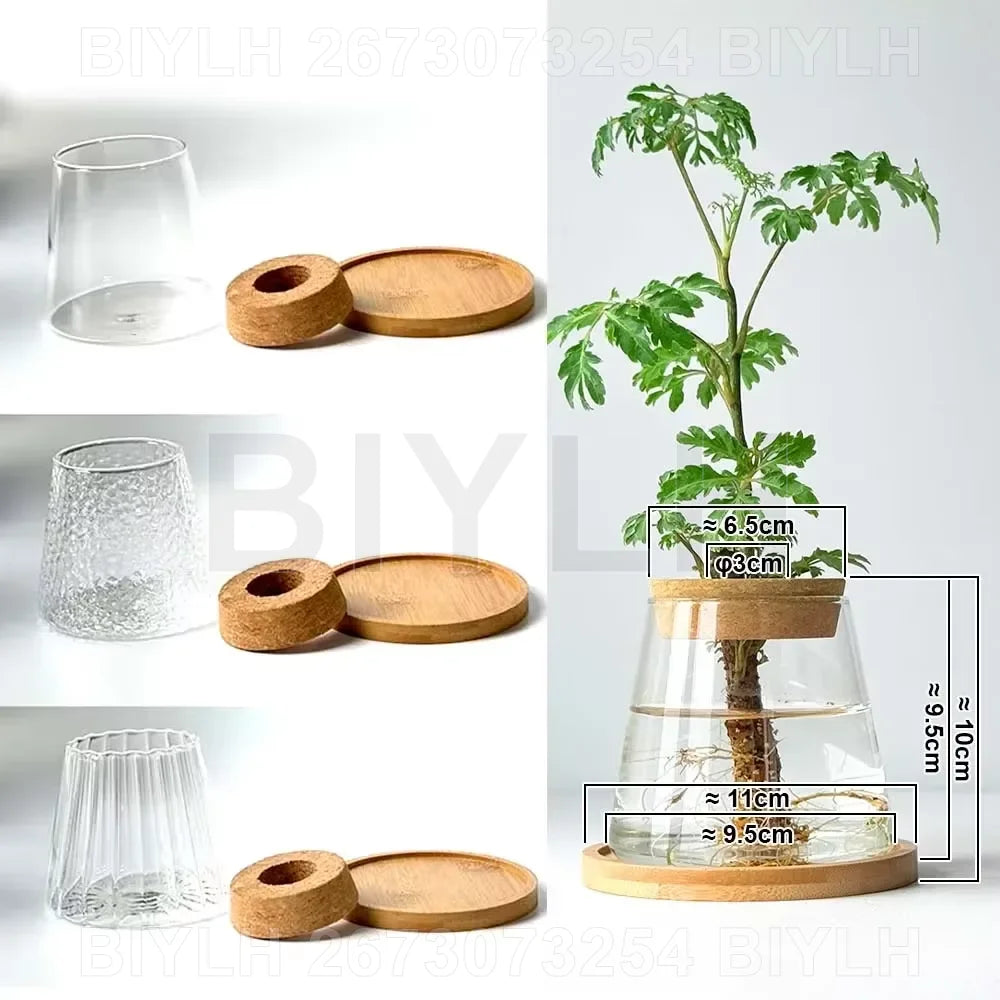 Vases en Verre pour Plantes Hydroponiques – Petits Pots avec Plateau pour Décoration Intérieure et Jardin