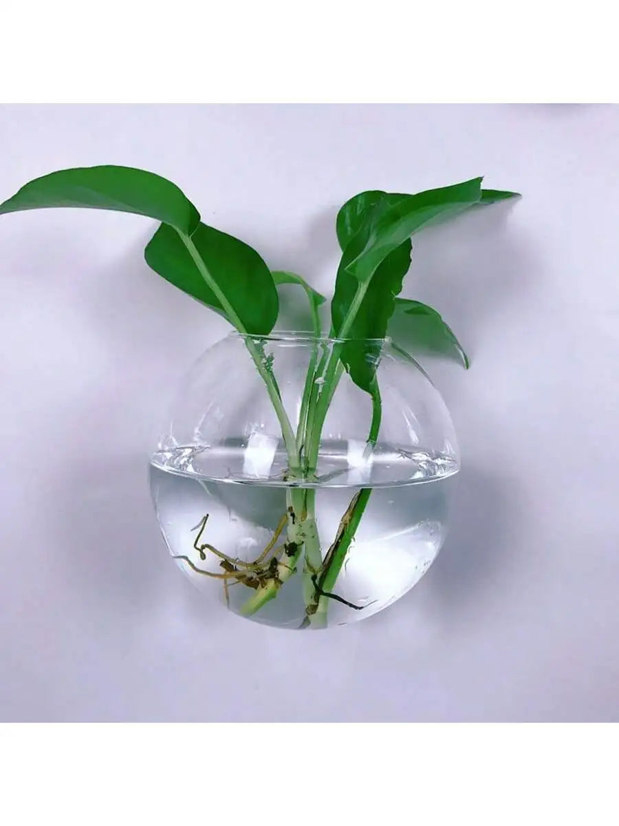 Terrarium Suspendu en Verre – Pot Hydroponique Auto-Arrosant pour Décoration Intérieure, Lot de 2/4/6