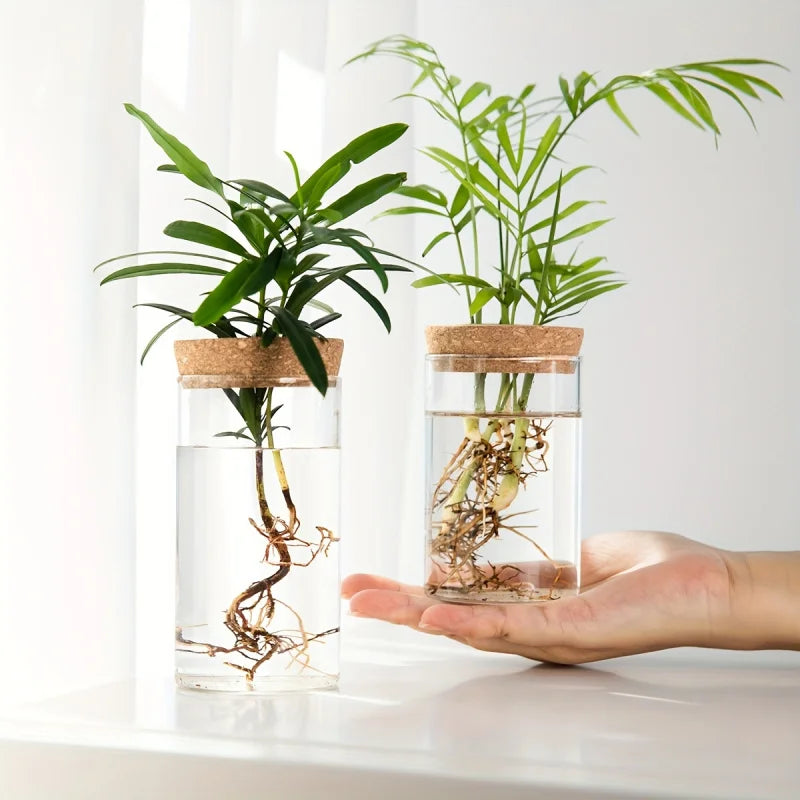Vase en Verre pour Plantes Hydroponiques – Station de Propagation pour Bureau et Décoration Intérieure