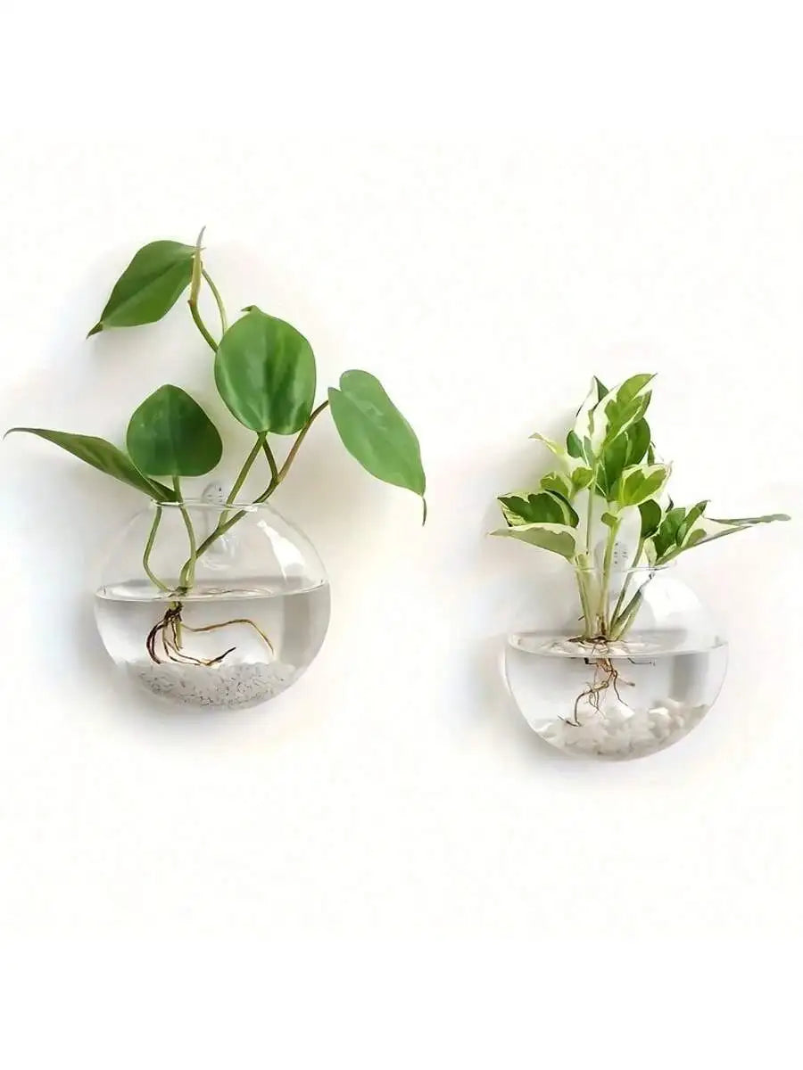 Terrarium Suspendu en Verre – Pot Hydroponique Auto-Arrosant pour Décoration Intérieure, Lot de 2/4/6