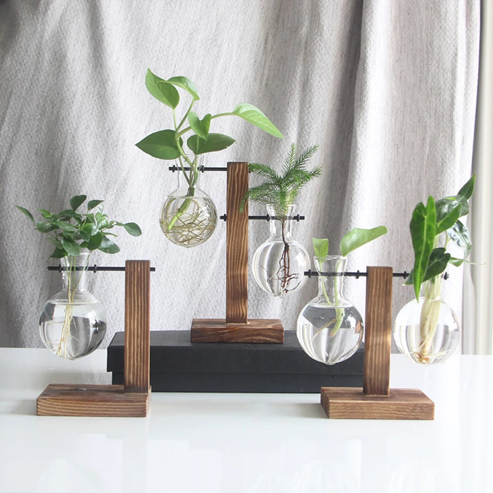 Vase en Verre Créatif pour Bureau – Pot Hydroponique avec Support en Bois pour Décoration Intérieure