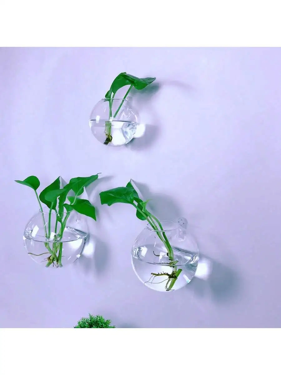 Terrarium Suspendu en Verre – Pot Hydroponique Auto-Arrosant pour Décoration Intérieure, Lot de 2/4/6